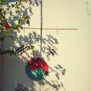 신진여인숙 이미지