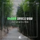 [담양여행#1] 죽녹원. 시원한 바람소리로 힐링여행
