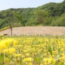 화원관광지 이미지