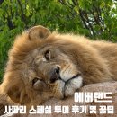 에버랜드 사파리 스페셜투어 4인가족 후기. 사파리 스페셜투어 예매 꿀팁