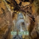 단양IC주유소 | 여름 충북 단양 가볼만한곳 고수동굴 입장료 소요시간