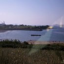 서부해안로(안치) 이미지