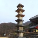 신안사 이미지