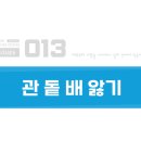 돝