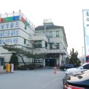 고향홍두깨손칼국수