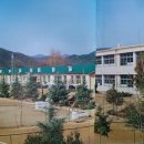 낙동동부초등학교 | 낙동중학교(상주)17회