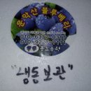 동보농장 이미지