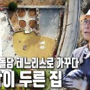 6년 동안 아내를 위해 쌓은 돌담집! 크기가 무려~ | 자연의 철학자들 (KBS 20230512 방송) 이미지