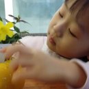 대한예수교장로회 광진교회 이미지