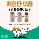펫츠플레이트 이미지