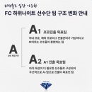 안성맞춤축구장(A구장) 네이버블로그