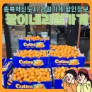 광이네과일가게&주스