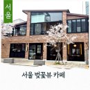 뉴라인 | 서울 서촌마을 벚꽃뷰 카페 뉴라인건축사사무소 서촌