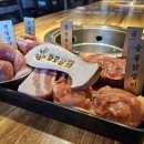 화로상회배곧점 | 시흥 배곧맛집 추천 신시아 5분거리 프리미엄 무한리필 화로상회 배곧점