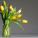 샬롬실버홈 이미지