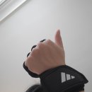 팻번 | 샤크짐2호점 4주차 후기 (팻번, 크로스핏, 스플래쉬, 불가리안백)