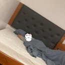 프링스타이어 고프로샵 | D7. 시키호르 프리다이빙 클라이드 투어 후기