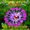 🪭반월호수공원 (여인천하공연단) 이미지
