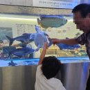 바다품은식당 - 진주시 촉석로 104 | 경남 진주 아이와 함께 가볼만한곳, 주말 외식으로 딱 좋은 대게맛집 바다품은식당 솔직후기