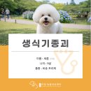 이담동물병원 이미지