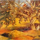 대구명덕초등학교 이미지