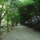 강천산아리울 이미지