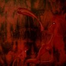 참연