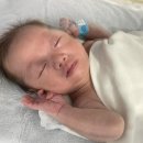 도경세탁 이미지