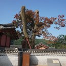 수원 화성행궁 이미지