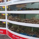 참맛대게직판장