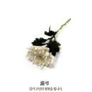 여수교동우체국 이미지