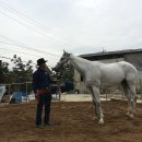 카우보이 이미지