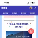 바로그집 이미지