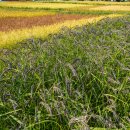 들녘농장 이미지