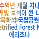 아름다운 목화석 광장과 미국 원주민들의 유적지를 본다 이미지