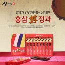 호好정