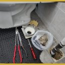 금진산업 이미지