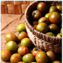 상경농장 이미지