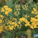 대학로R 이미지