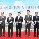 나온 태양광발전소 이미지