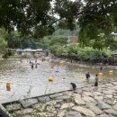 운암애견 이미지