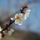 장동농장 이미지