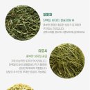 채릇채릇 이미지