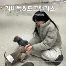 러버독&도그팰리스 | 내돈내산 상일동역 애견카페, 호텔, 유치원 ‘러버독&amp;도그팰리스’