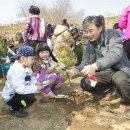 더나무숲 서울신문