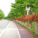 가곡강변로 이미지