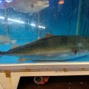 남해수산시장 이미지