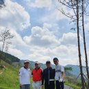 밀양 노벨컨트리클럽 이미지