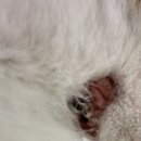 허그미동물병원 이미지