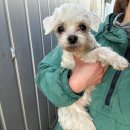 안양서중학교 이미지